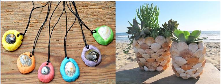 κατασκευές με κοχύλια