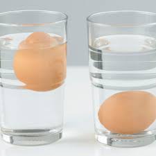 Testing Eggs for Freshness and Safety