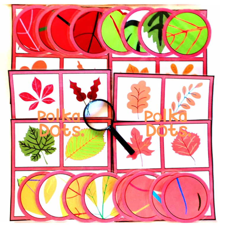 fthinopwrina-flla-kunhgi-thisaurou